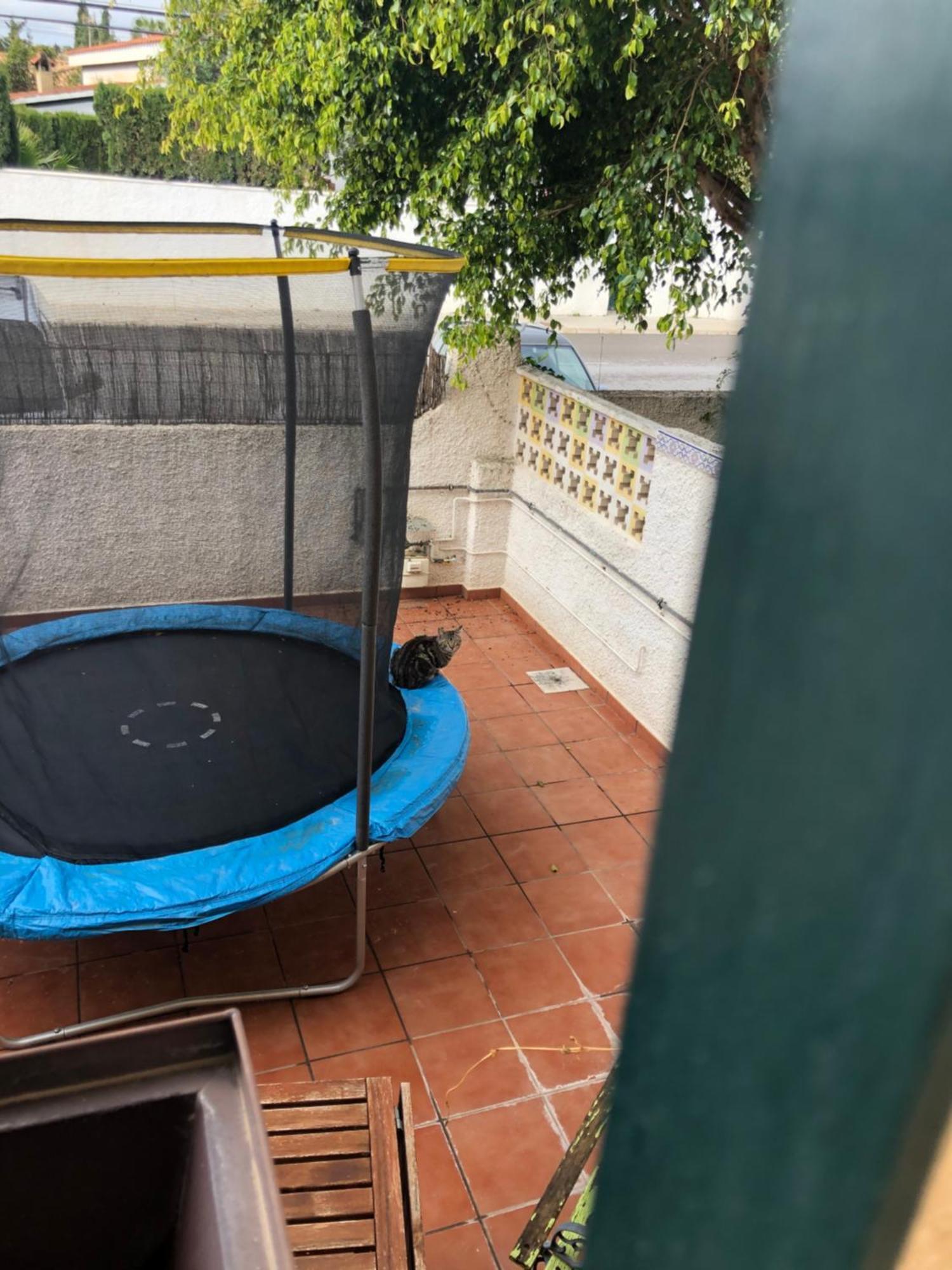 Casa En La Huerta De Mutxamel Villa Eksteriør bilde